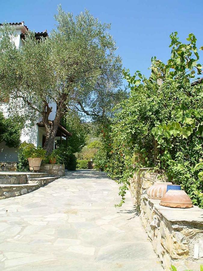 Marlitsis Apartments & Studios Skopelos Exteriér fotografie